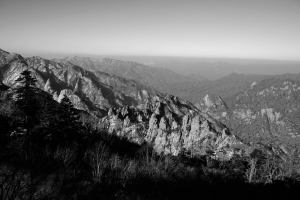 10897928_1002768396405309_3985505180653158638_n