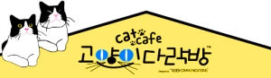 catcafe42