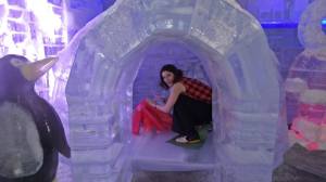 10152590_10151972501275703_4279538109670972287_n